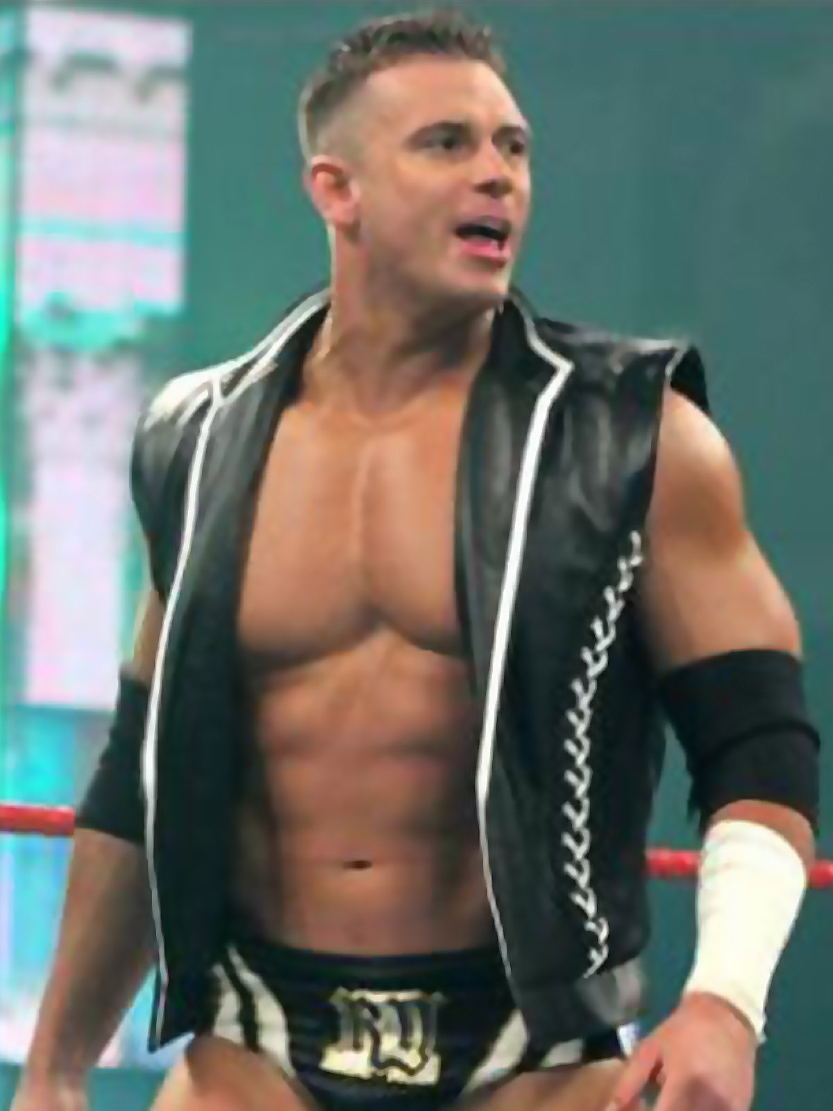 WWE Alex Riley Leather Vest