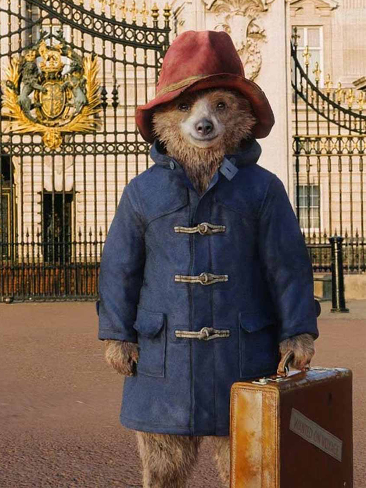 Paddington Bear Blue Coat